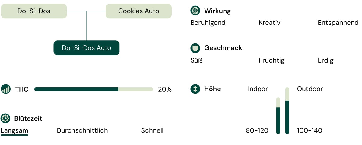 Do-Si-Dos Auto Sortendiagramm, das THC-Werte, Geschmacksprofil und Wachstumsstruktur beschreibt. Kompakte, indica-dominante Autoflower mit süßen und erdigen Aromen.