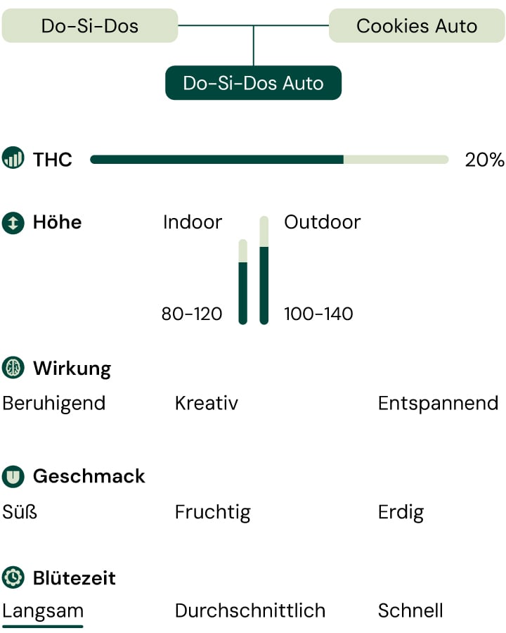 Do-Si-Dos Auto Sortendiagramm, das THC-Werte, Geschmacksprofil und Wachstumsstruktur beschreibt. Kompakte, indica-dominante Autoflower mit süßen und erdigen Aromen.