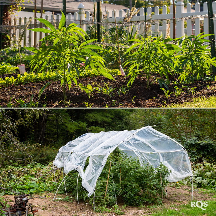 Zwei Bilder: Links zeigt junge Pflanzen in einem Garten und rechts einen Garten mit einem Schutznetz.