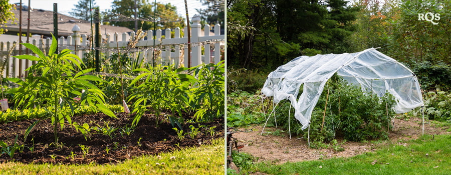 Zwei Bilder: Links zeigt junge Pflanzen in einem Garten und rechts einen Garten mit einem Schutznetz.