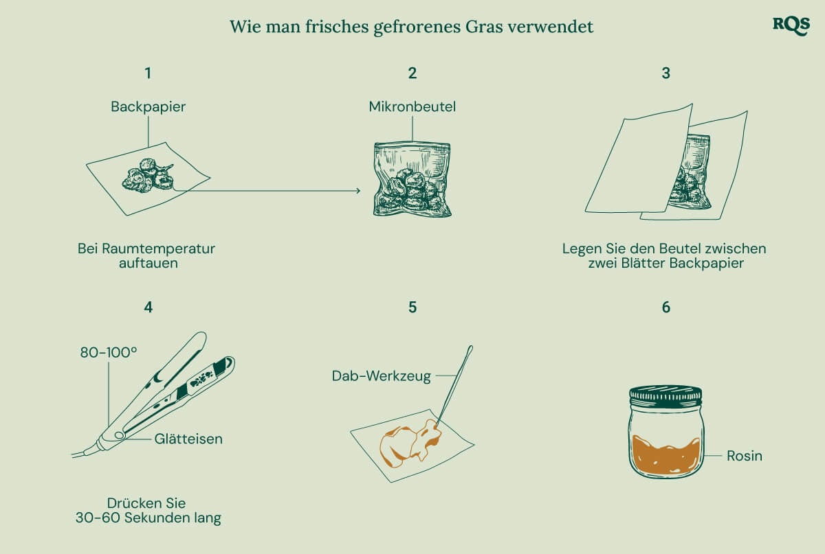 Illustrierter Leitfaden, der zeigt, wie frisches gefrorenes Cannabis für die Rosin-Extraktion verwendet wird. Die Schritte umfassen das Auftauen auf Backpapier, das Platzieren in einem Mikronbeutel, die Verwendung eines Haarglätters bei 80-100°C für 30-60 Sekunden und die Sammlung von Rosin mit einem Dab-Tool.