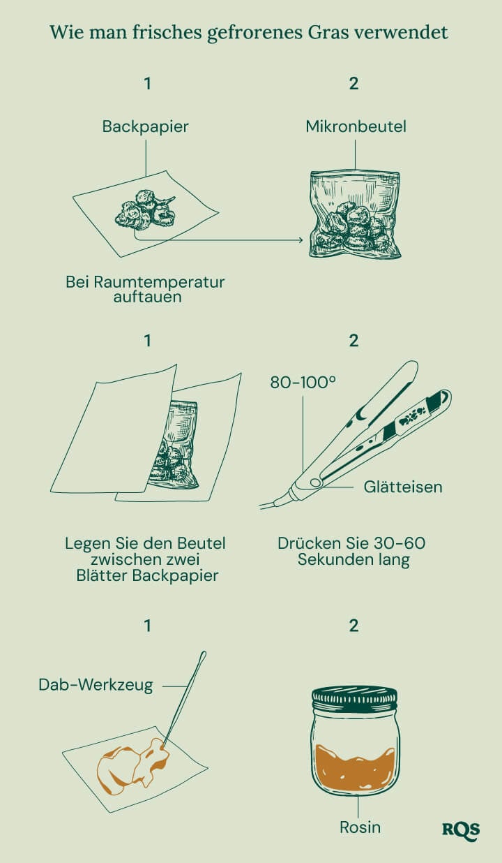 Illustrierter Leitfaden, der zeigt, wie frisches gefrorenes Cannabis für die Rosin-Extraktion verwendet wird. Die Schritte umfassen das Auftauen auf Backpapier, das Platzieren in einem Mikronbeutel, die Verwendung eines Haarglätters bei 80-100°C für 30-60 Sekunden und die Sammlung von Rosin mit einem Dab-Tool.