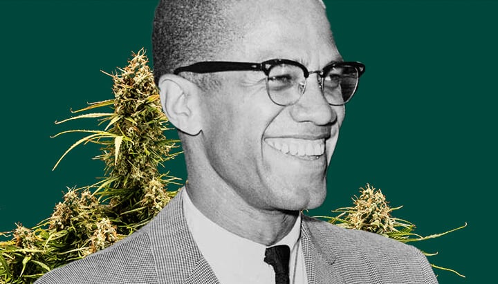 Ein detailliertes Porträt von Malcolm X vor einem tiefgrünen Hintergrund, eingerahmt von üppigen Cannabis-Pflanzen mit dicken, harzigen Blüten.