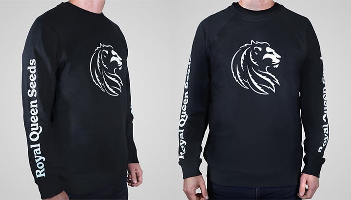 Ein schwarzes Sweatshirt mit einem weißen Löwenkopflogo auf der Vorderseite und den Worten 