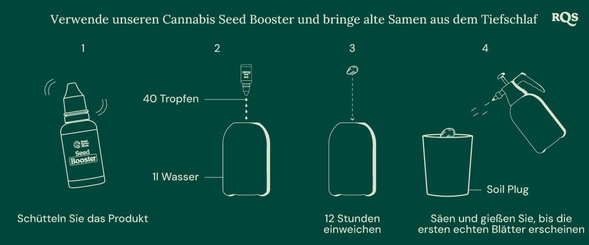 Seed booster cannabis old seed