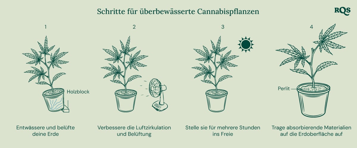 How to fix underwatered cannabis