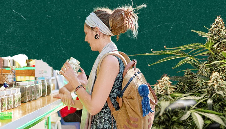 Collage einer Frau mit Dreadlocks, die ein Glas in einer Cannabis-Apotheke hält. Dunkelgrüner Hintergrund mit sichtbaren Marihuanapflanzen auf der rechten Seite.