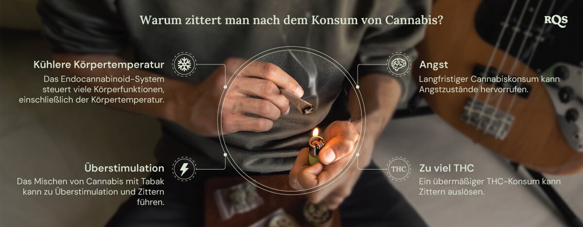 Eine detaillierte Grafik, die die möglichen Nebenwirkungen des Cannabiskonsums zeigt. Informationsgrafiken erklären, wie Faktoren wie THC-Gehalt, Angst und Körpertemperatur zu diesen körperlichen Reaktionen beitragen.