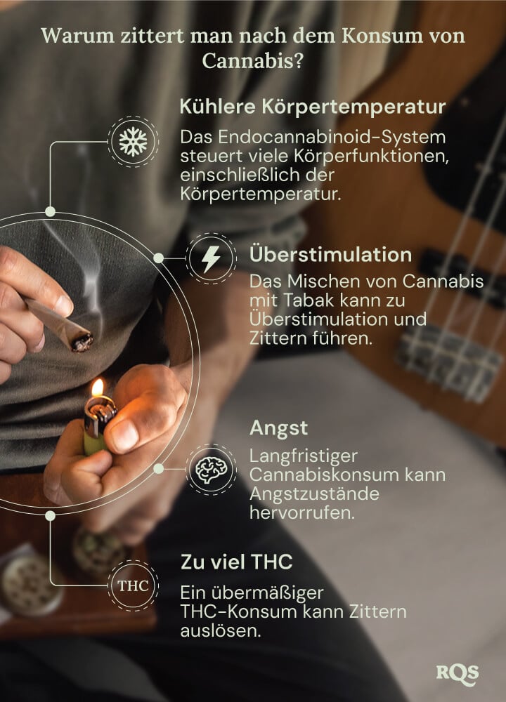 Eine detaillierte Grafik, die die möglichen Nebenwirkungen des Cannabiskonsums zeigt. Informationsgrafiken erklären, wie Faktoren wie THC-Gehalt, Angst und Körpertemperatur zu diesen körperlichen Reaktionen beitragen.