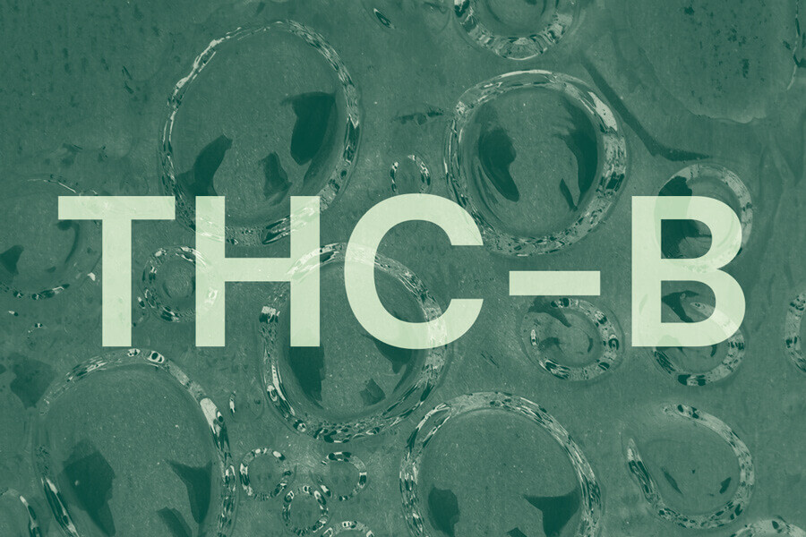 Alles Wissenswerte über THCB